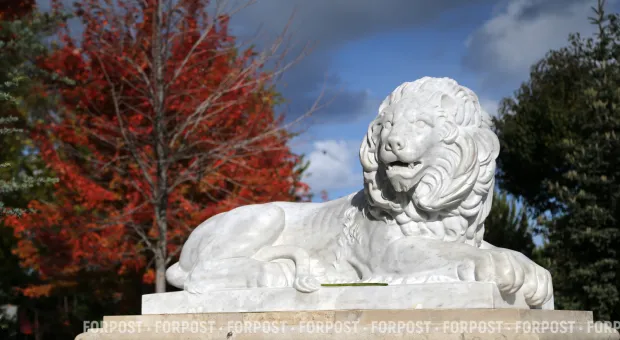 Новости Севастополя - В Севастополе возвращается мода на советские имена для новорожденных 