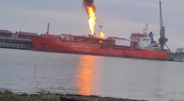 Мировые новости - Во Львове потребовали разобраться с русскоязычными котами