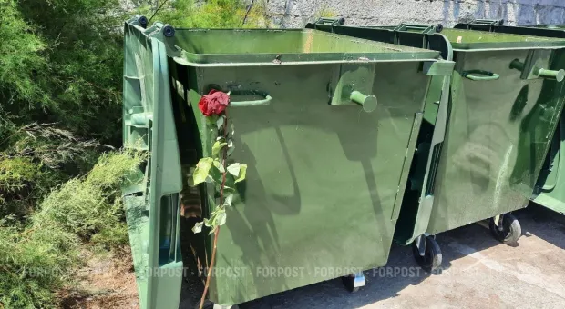 Новости Севастополя - Всех севастопольцев объединит... мусор