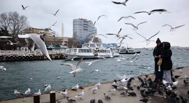 Новости Севастополя - В Севастополе редко беременеют подростки