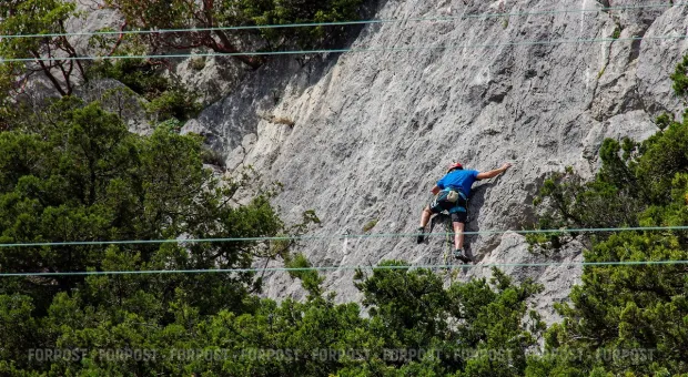 Новости Севастополя - Спорткомплекс им. 200-летия Севастополя будет таки реконструирован по поручению Януковича