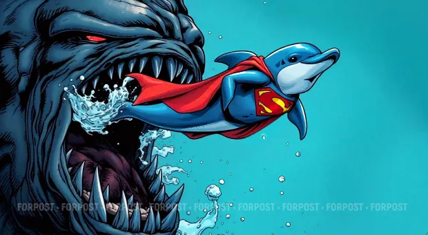 Новости Севастополя - В Крыму дельфины подплыли близко к берегу и устроили шоу (ВИДЕО)