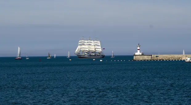 Новости Севастополя - В центре занятости Севастополя зарегистрировано 5% населения