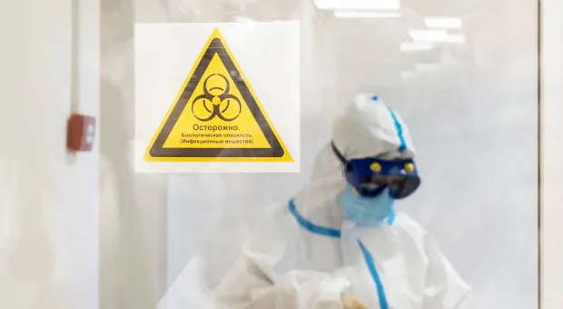 Новости Севастополя - "Гражданин, а не прокурор" Шевченко лишился земли на Фиоленте