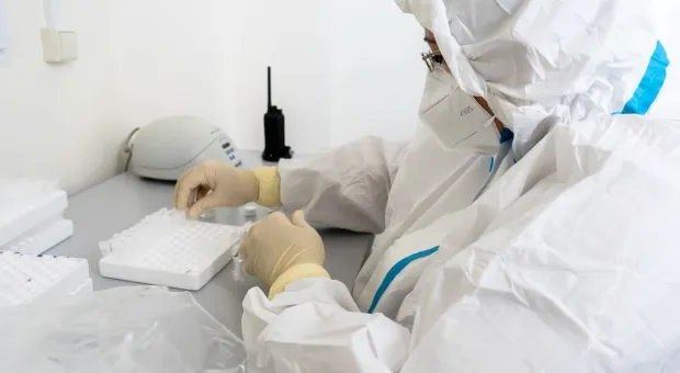 Новости Севастополя - В Севастополе отпразднуют Рождество крестным ходом и гуляниями 