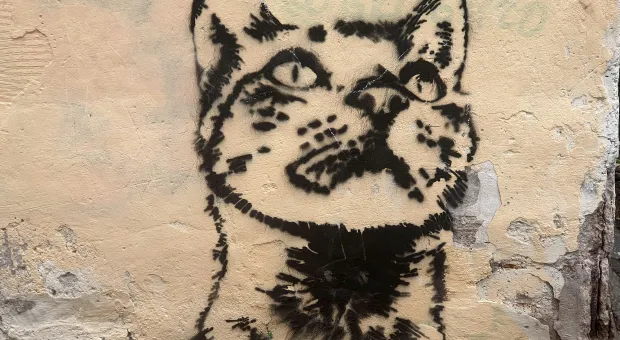 Новости Севастополя - 