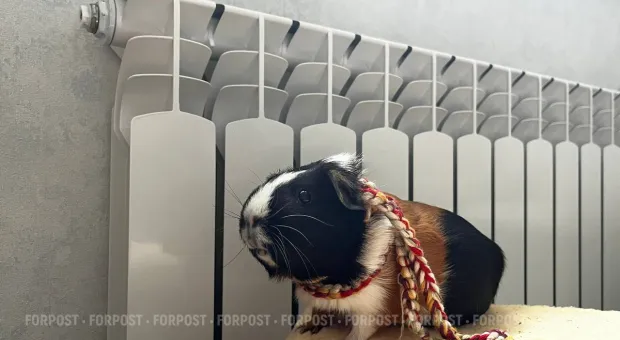 Новости Севастополя - С конкурса на сессию отправился севастопольский победитель «Лидеров России» 