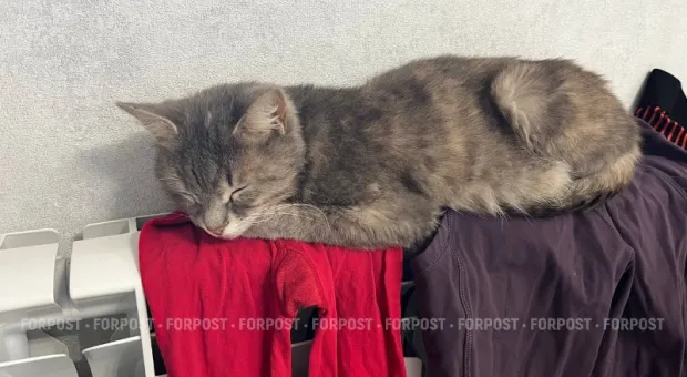 Новости Севастополя - Котельную в Каче и газовый дюкер в Севастополе строят-строят, и наконец, достроят