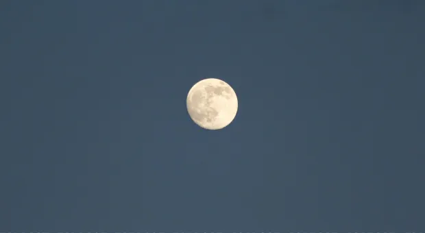 Новости Севастополя - В Севастополе люди кричали: у троллейбуса оторвалось колесо