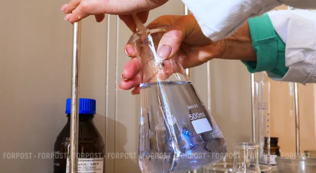 Новости Севастополя - В центре Севастополя прошла акция «Обниму даром»