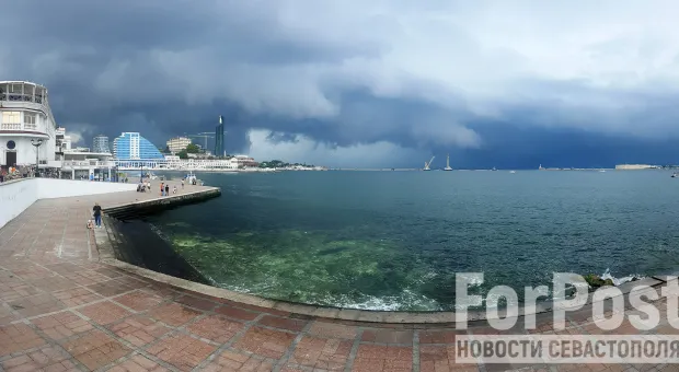 Новости Севастополя - В Севастополе ужесточили правила для владельцев незаконных ларьков