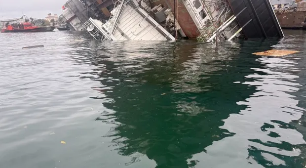 Новости Севастополя - Пони проверили благоустройство Ялты на вкус