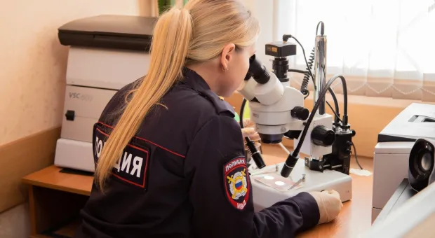 Новости Севастополя - Миллионами рублей завладел подрядчик ремонта детсада в Севастополе