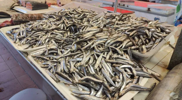 Новости Севастополя - Ракетный автограф в Атлантике