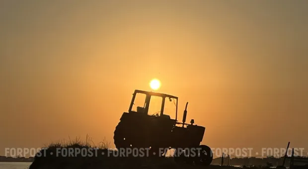 Новости Севастополя - Чиновник в Крыму «развил» творческий потенциал молодёжи на шесть уголовных дел