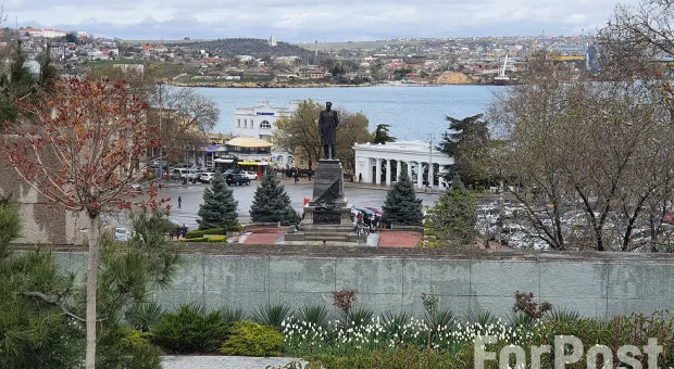 Новости Севастополя - СевСети #397: загадочное животное и имя для робота