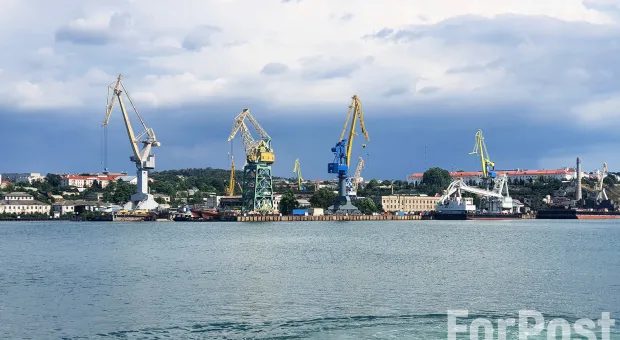 Новости Севастополя - Овсянников легализовал национализацию Меняйло