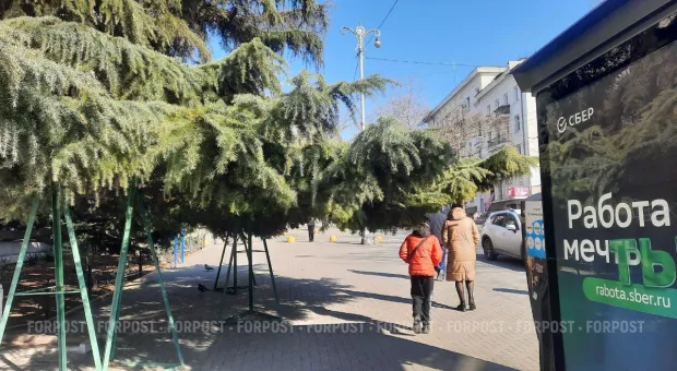 Новости Севастополя - «Пока единственной целью будет медийная картинка, у нас не будет никакого развития»