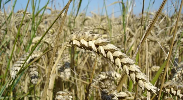 Мировые новости - 