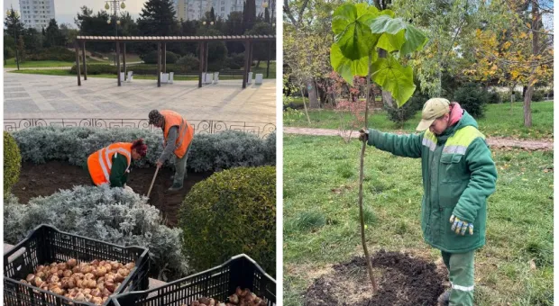Новости Севастополя - Больше места и приватности: РЖД показали новый плацкарт