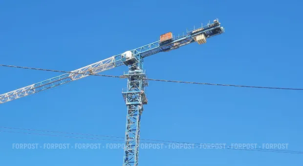 Новости Севастополя - В Севастополе подешевело мясо и подорожали овощи