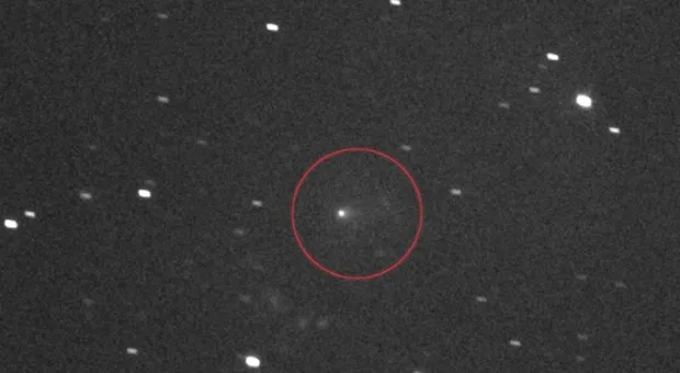 Мировые новости - Градоначальство Севастополя: город в режиме немого эфира? — ForPost «Реактор»