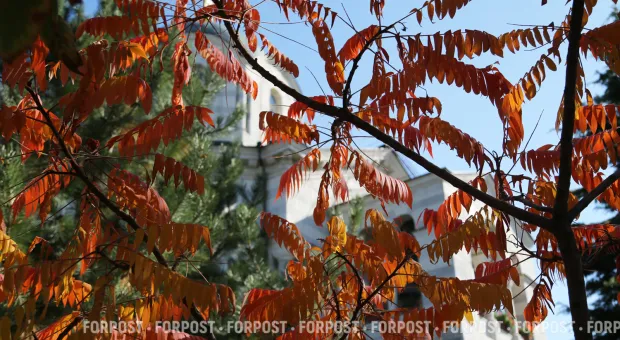 Новости Севастополя - 