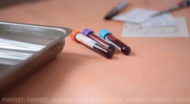 Новости Севастополя - В Севастополе на три агростартапа выделили 7,5 млн рублей