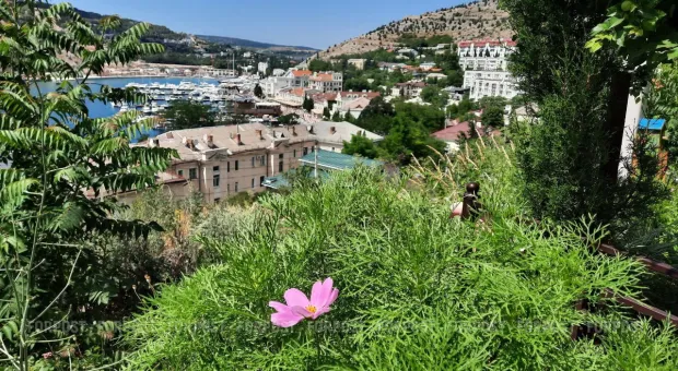 Новости Севастополя - По Севастополю прокатилась Велопобеда