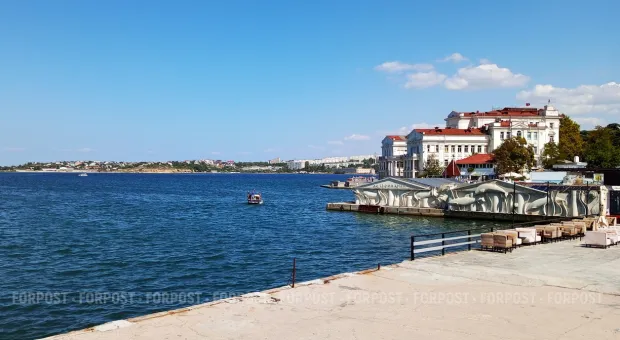 Новости Севастополя - В Крыму дельфины подплыли близко к берегу и устроили шоу (ВИДЕО)