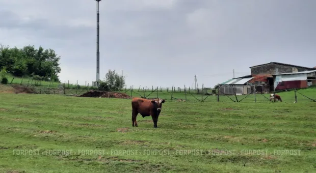 Новости Севастополя - Экс-министр обороны Украины получил грамоту от Овсянникова