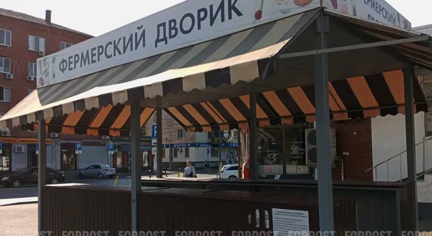 Новости Севастополя - В Севастополе проходит праймериз "Единой России"