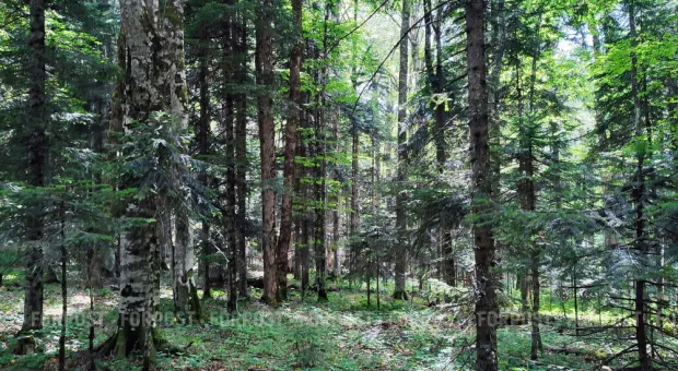 Новости Севастополя - Депутаты не дали правительству Севастополя отменить неудобные законы 