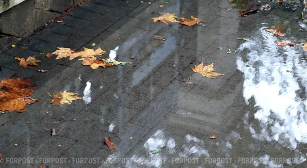 Новости Севастополя - В Севастополе созданы «опера и балет»