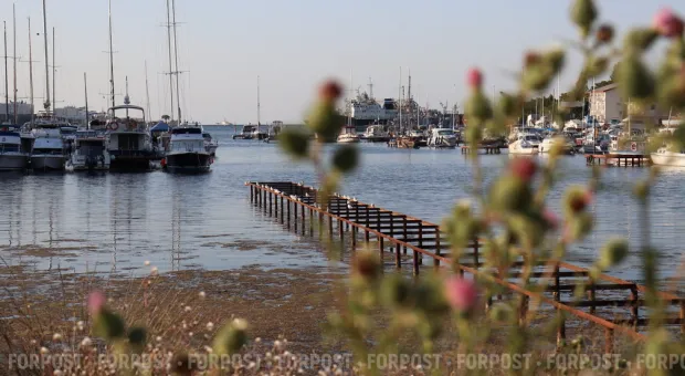 Новости Севастополя - В Севастополе переданный военным лес готовят к застройке