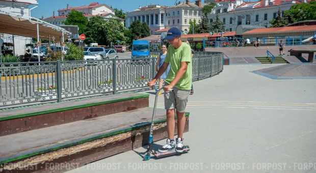 Новости Севастополя - Бездомным животным Севастополя - ни рубля, ни закона? 