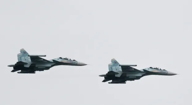 Новости России - От кедров перешли на платаны: в Крыму продолжается сомнительный ремонт сквера