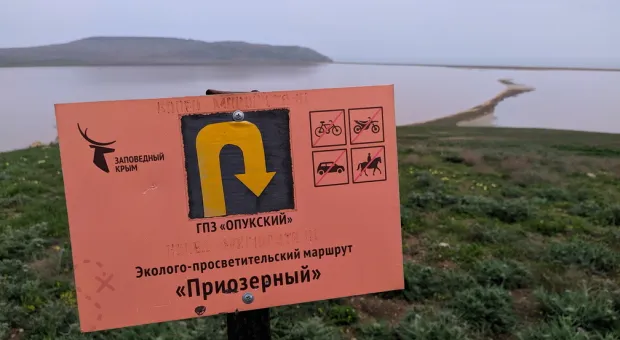 Новости Севастополя - Пациенты Севастопольского онкодиспансера пишут коллективное обращение к Путину