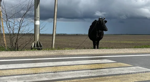 Новости Севастополя - С Днём рождения, Севастополь!