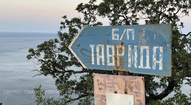 Новости Севастополя - Горелов возглавит список партии «Зелёные» на выборах в Севастополе