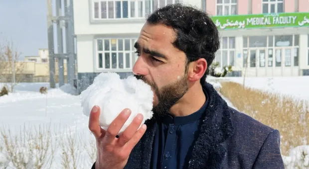 Мировые новости - Силовики ликвидировали группировку, которая наживалась на участниках СВО 