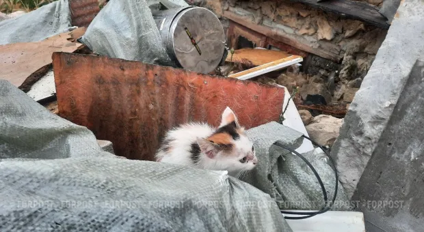 Новости Севастополя - Москва обвинила главу Севастополя в сносе предвыборных билбордов «Единой России»