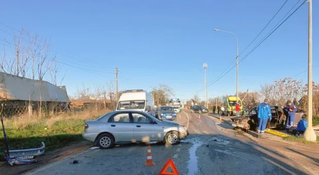 Новости Севастополя - Почему россияне массово переходят на аренду новогодних ёлок