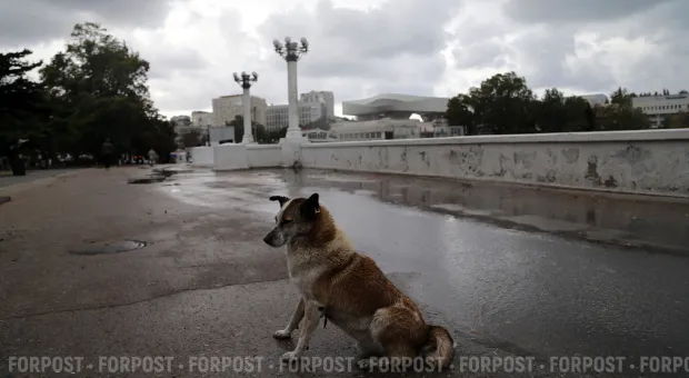 Новости Севастополя - Полная газификация сел Севастополя переносится