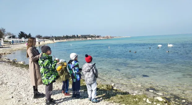 Новости Севастополя - Севастополь вошёл в топ-15 с самым высоким уровнем доходов