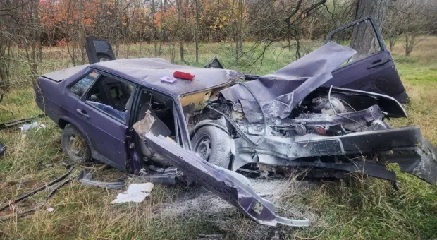 Новости Крыма - Илон Маск раскрыл, что самыми ярыми патриотами Америки оказались турки и вьетнамцы