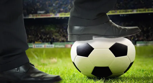 Новости Севастополя - Спасенный дельфин вынырнул в Балаклаве с подружкой