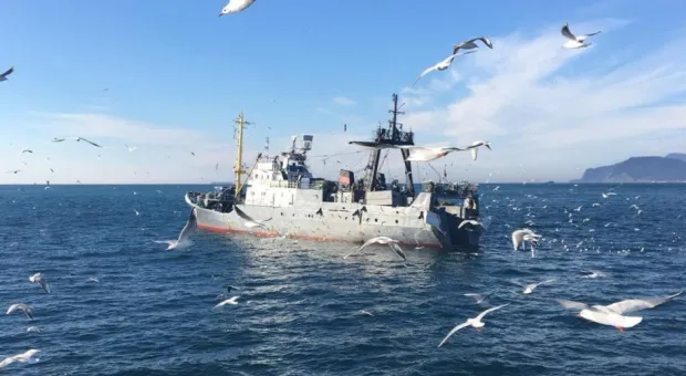 Новости Севастополя - «Деньги сами приходят»: Плотка — о командах, праве и смысле бизнеса