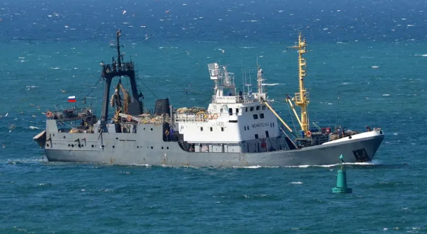 Новости Севастополя - 