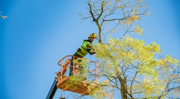 Новости Севастополя - В Подмосковье центр реабилитации для подростков стал концлагерем 